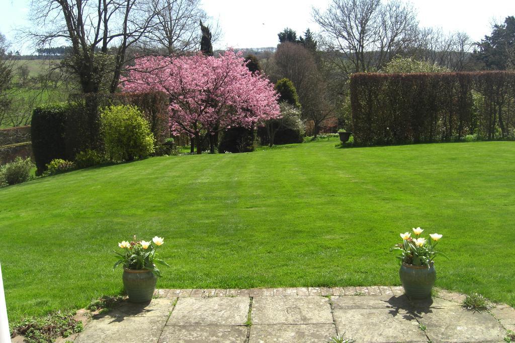 Stowting Hill House Bed and Breakfast Ashford  Buitenkant foto